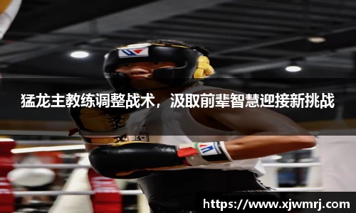 猛龙主教练调整战术，汲取前辈智慧迎接新挑战